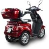 BILI BIKE SHINO G2 GEL - Skuter inwalidzki elektryczny 25km/h